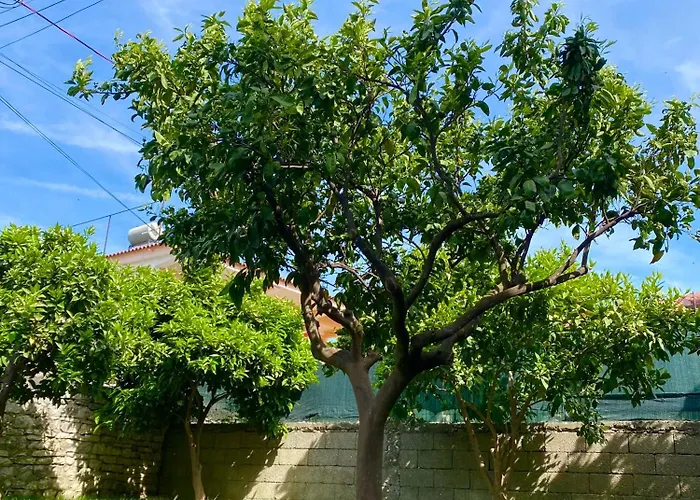 - View Of Castle & Traditional Breakfast